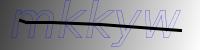 captcha verification