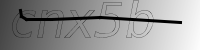 captcha verification