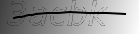 captcha verification