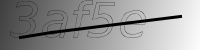 captcha verification