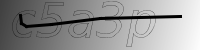 captcha verification