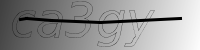 captcha verification