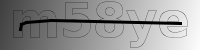 captcha verification