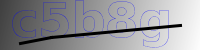 captcha verification