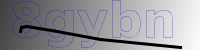 captcha verification